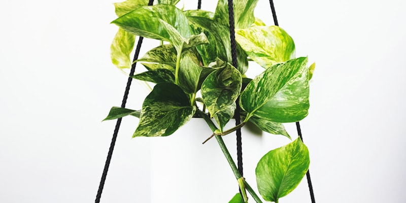 国际足联官员正在会议桌前讨论2026世界杯赛制